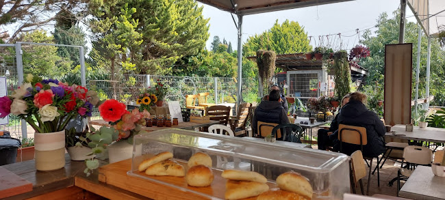 קפה בפטל - עגלת קפה וגלידה במרכז