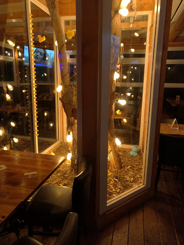 Opinii despre שמבז | Shambaz în מודיעין מכבים רעות - הסעדה