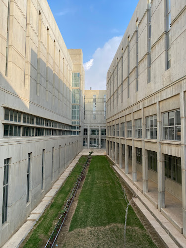 המקסיקני אוניברסיטת בן גוריון - הסעדה