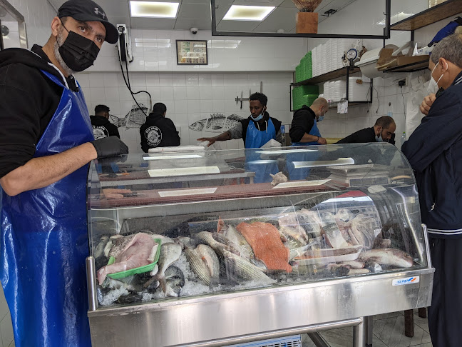 פליי פיש - דגים טריים בתל אביב | פירות ים