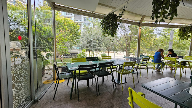 רביבה וסיליה - הסעדה