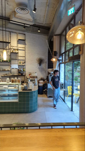 Comentarii opinii despre מונטי