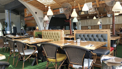 פטרה חוף הקשתות אשדוד