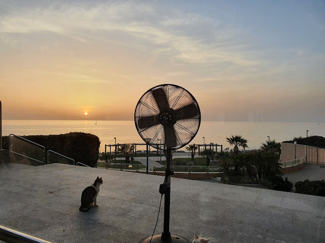 טורקיז - הסעדה