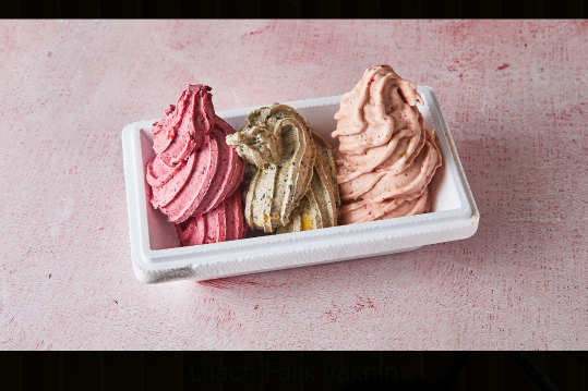 פרוזן יוגורט