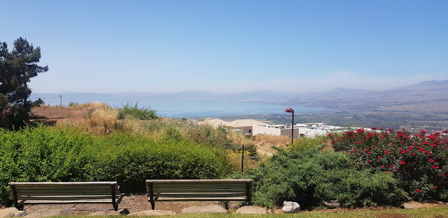 מעלה גמלא maale gamla, 1294900