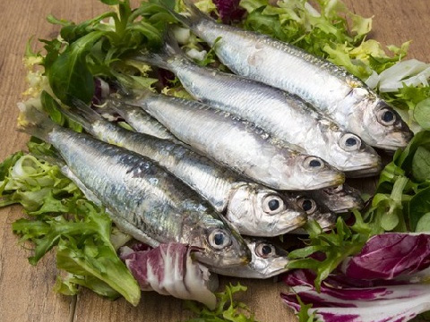 Opinii despre שירת הים - חנות דגים - בת ים în בת ים - הסעדה