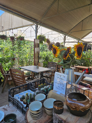 קפה בפטל - עגלת קפה וגלידה במרכז - הסעדה