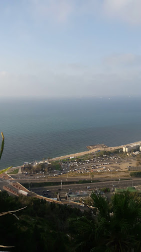 שוואטינא סטלה מאריס - חיפה