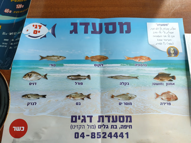 Comentarii opinii despre מסעדג