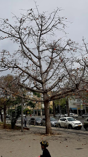 Cafe Castel קפה קסטל