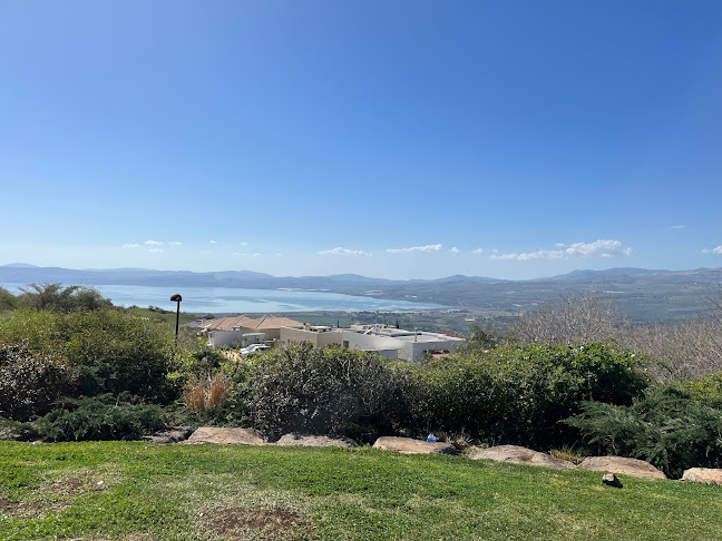 Comentarii opinii despre נינו עגלת קפה