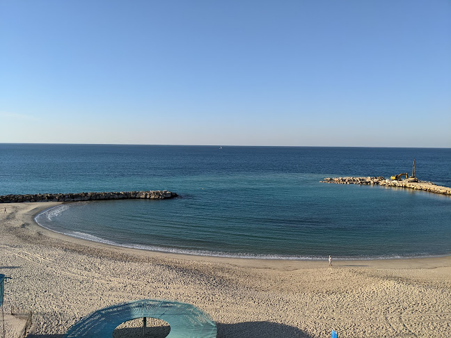 זיארה - אשקלון