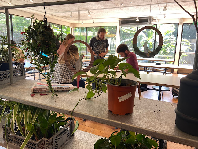 קפה נטו - הסעדה