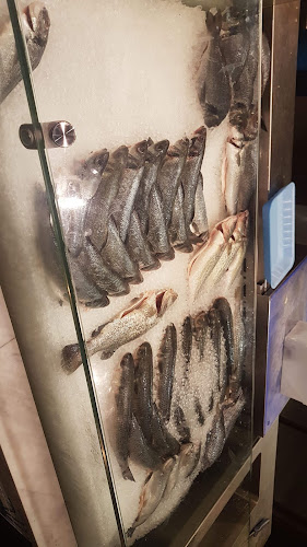 Comentarii opinii despre פישופ