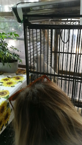 Opinii despre עולם החי והצומח în ערד - הסעדה