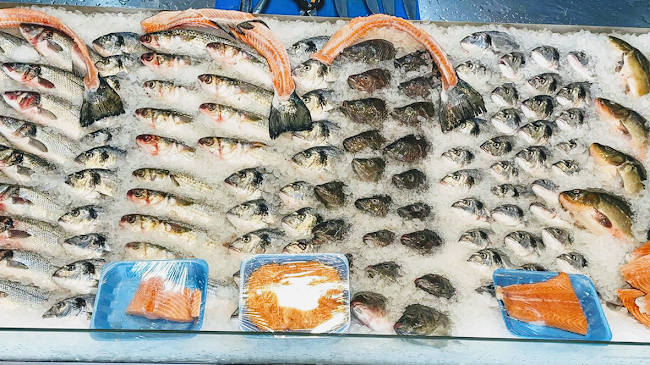 Comentarii opinii despre גבאי דגים ודייגים