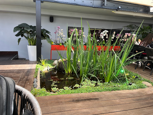 בנגקוק קיטשן תל אביב צהלה - תל אביב-יפו