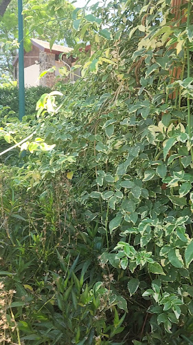 Opinii despre נינו עגלת קפה în מעלה גמלא - הסעדה