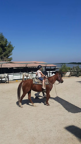 Comentarii opinii despre חוות בת יער