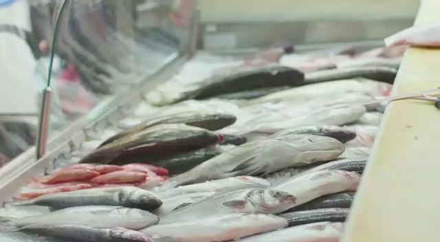 דגים זלאיט יוסף - הסעדה