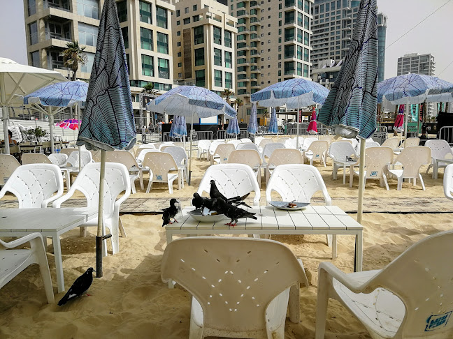 Opinii despre Gazoz Beach în תל אביב-יפו - הסעדה