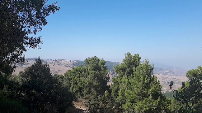 חוות בת יער - הסעדה