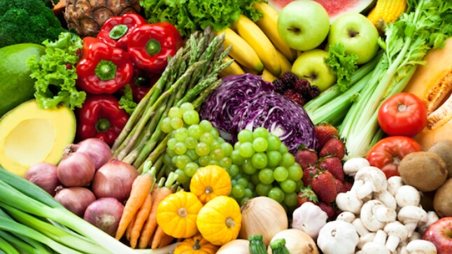 יבולי לוי בע"מ - הסעדה