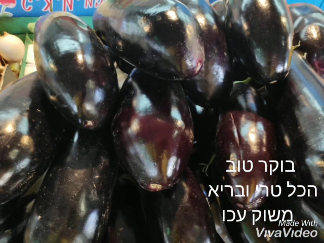 שוק עירוני עכו - הסעדה
