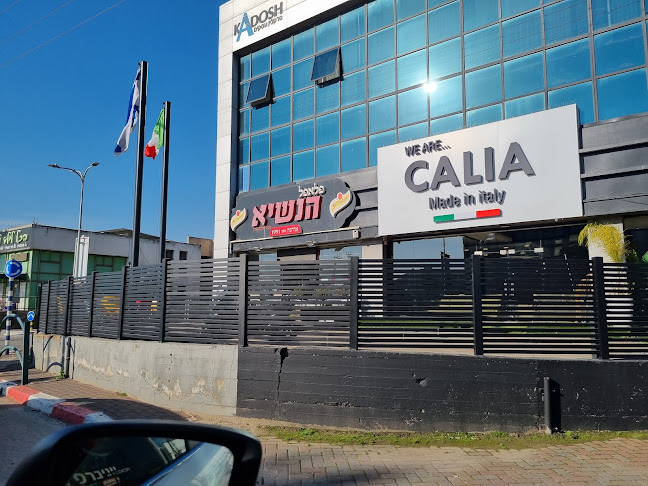 Comentarii opinii despre פלאפל הנשיא