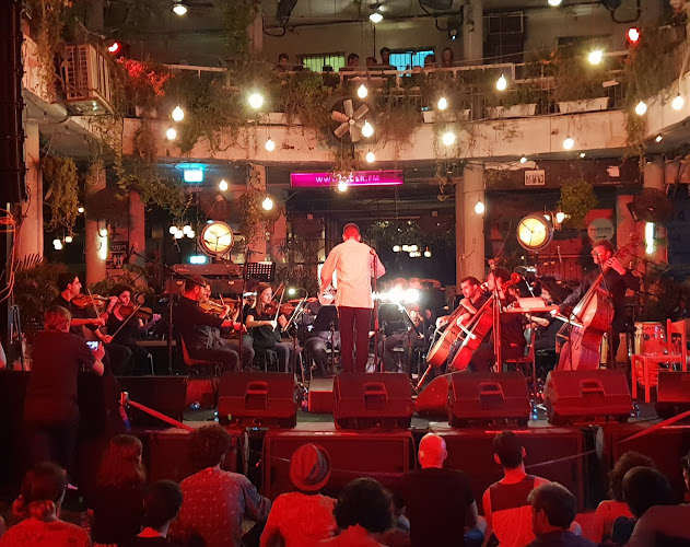 Comentarii opinii despre תדר