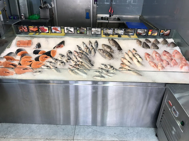 גבאי דגים ודייגים - ראשון לציון