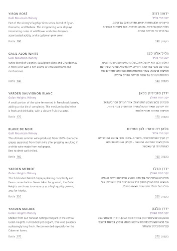 כינור בכיכר Kinor Bakikar - ירושלים