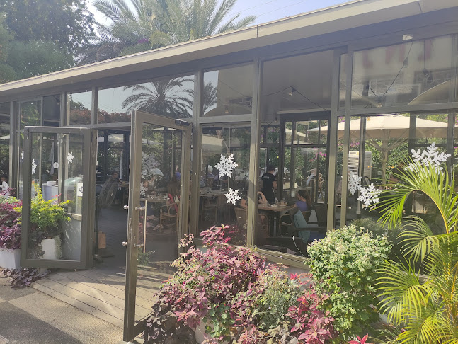 Comentarii opinii despre קפה נטו