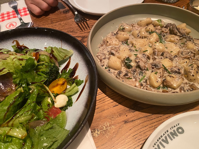 VIVINO - ויוינו פתח תקווה | כשר