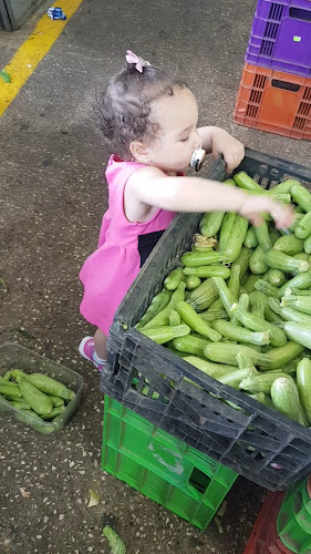 Comentarii opinii despre שוק עירוני עכו