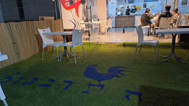 התרנגול שניצל בעכו - עכו