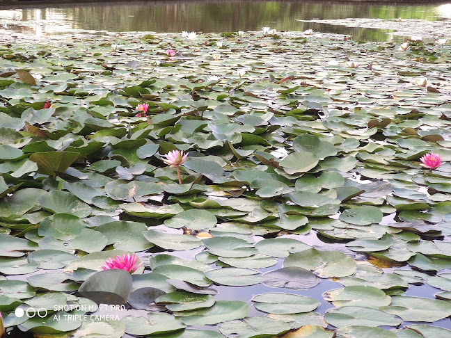 קפה גן סיפור - ראשון לציון - הסעדה