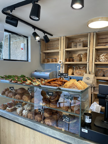 ברדא תלפיות