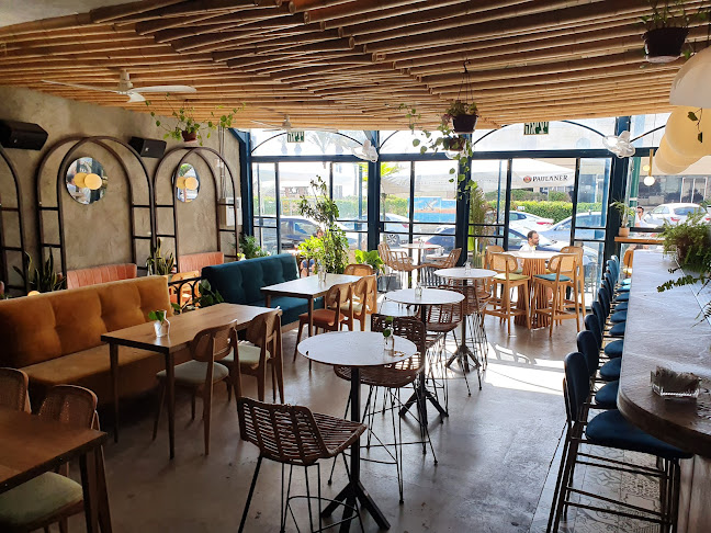 רידם סושיאל