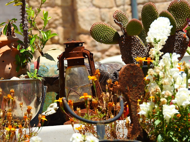 Hamudi Art Cafe - הסעדה