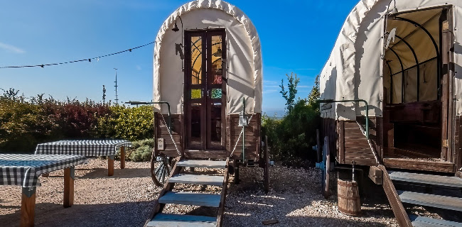 Opinii despre חוות בת יער în עמוקה - הסעדה