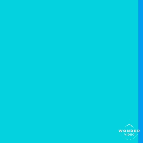 המיצים של גיל