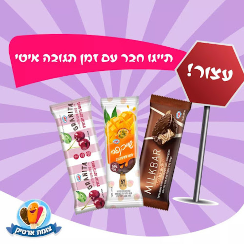 צומת ארטיק - סניף רעננה