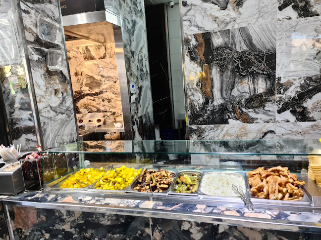 שווארמה התאומים