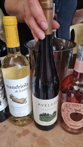 Comentarii opinii despre תדר