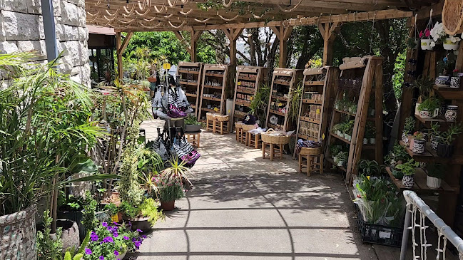 Comentarii opinii despre City View