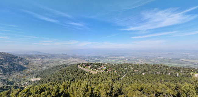 חוות בת יער - עמוקה