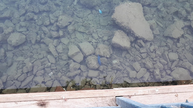 Comentarii opinii despre לה קוצ'ינה