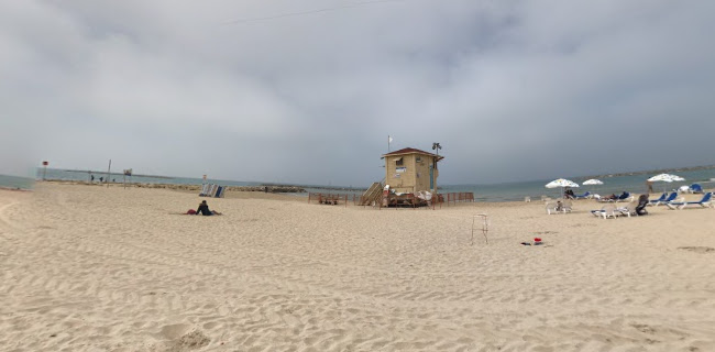 חוף לה מר תל-אביב | La Mer Beach Tel Aviv - הסעדה